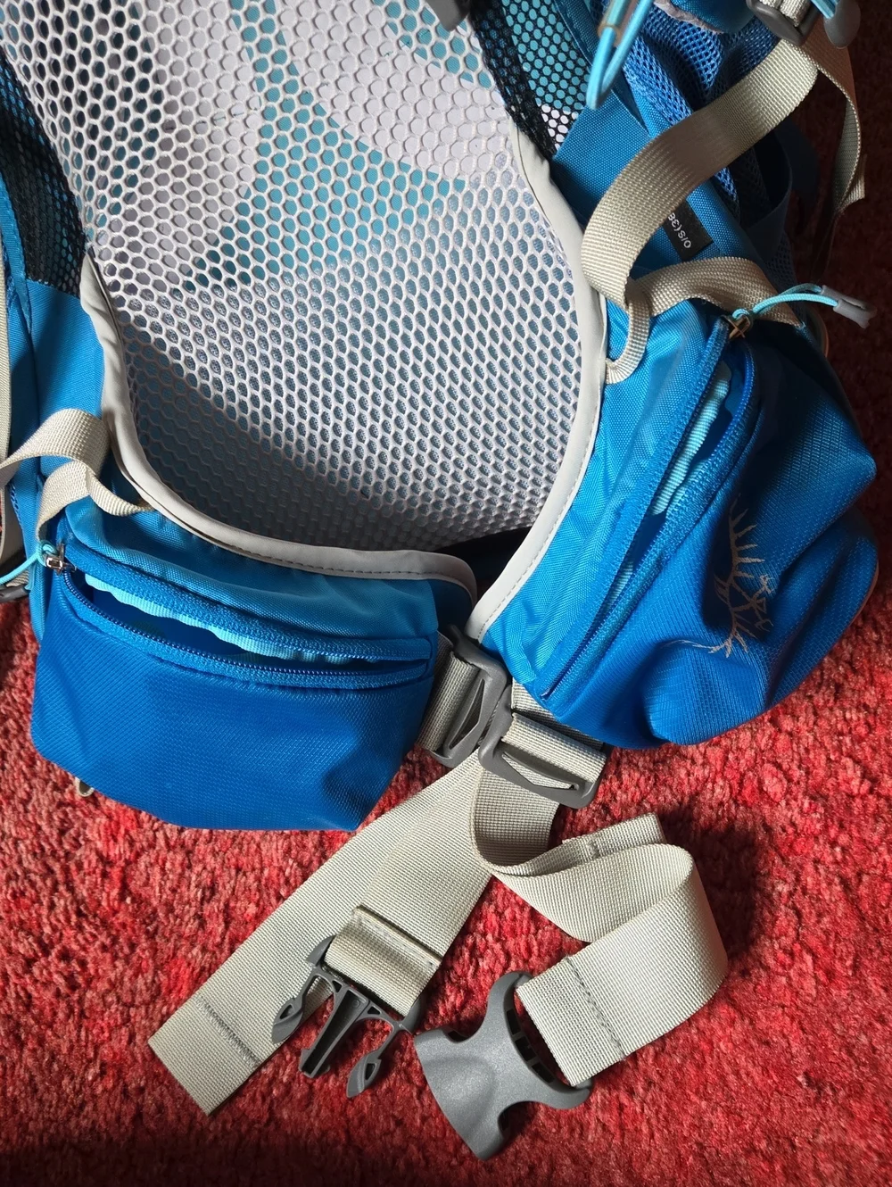Osprey Sirrus 24L Backpack